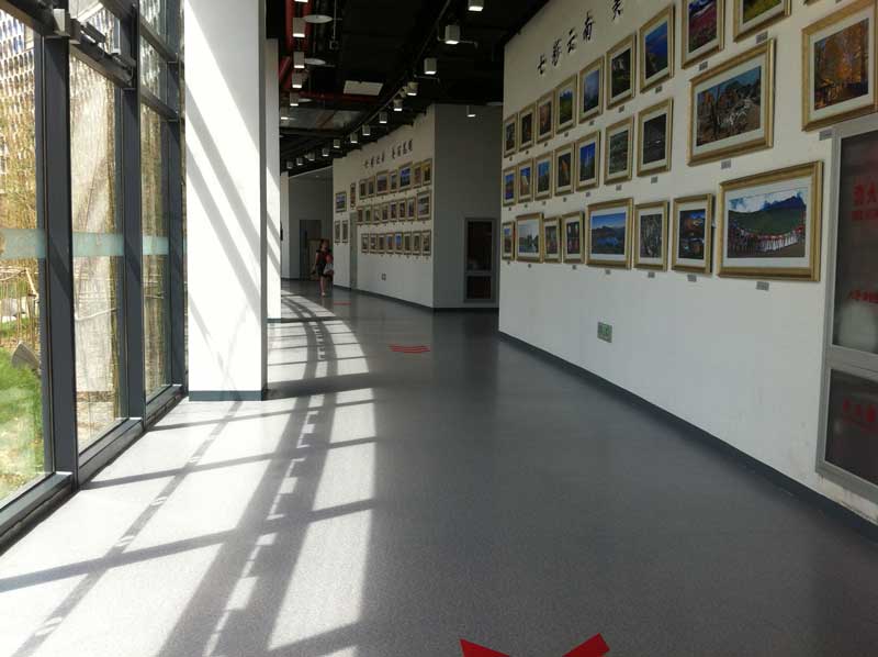 北京丰台区园博会商用免费P站视频