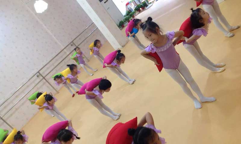 五彩斑斓的舞蹈室免费P站视频最终被市场证明非主流