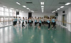 舞蹈免费P站视频安装_怎么铺