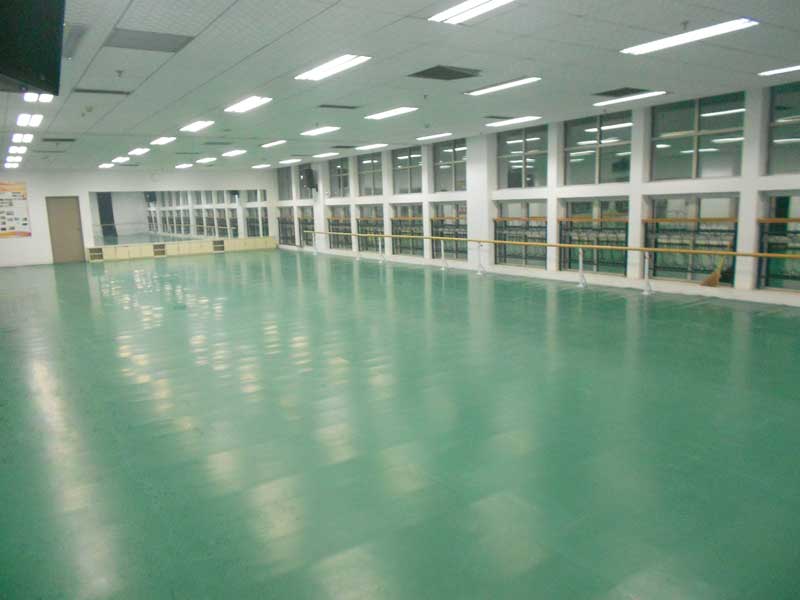 河北保定市河北大学艺术学院舞蹈免费P站视频