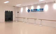 舞蹈免费P站视频安装_怎么铺