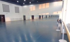 沈阳市浑南新区沈阳歌舞团舞蹈免费P站视频