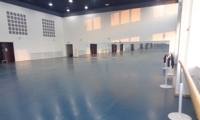 沈阳市浑南新区沈阳歌舞团舞蹈免费P站视频