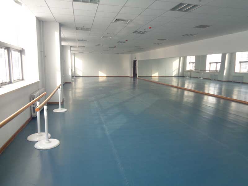 沈阳市浑南新区沈阳歌舞团舞蹈免费P站视频