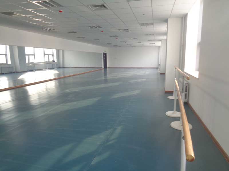 沈阳市浑南新区沈阳歌舞团舞蹈免费P站视频