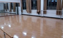 舞蹈免费P站视频多少钱一平方米