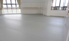 舞蹈免费P站视频多少钱一平方米