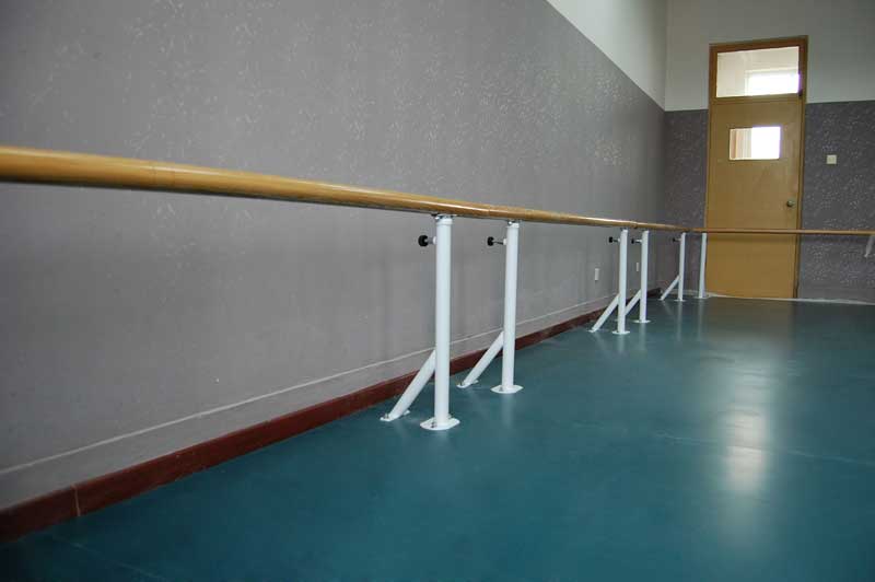 北京中央音乐学院附中舞蹈免费P站视频