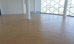 内蒙古鄂托克前旗运动免费P站视频