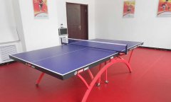 乒乓球免费P站视频多少钱一平方米