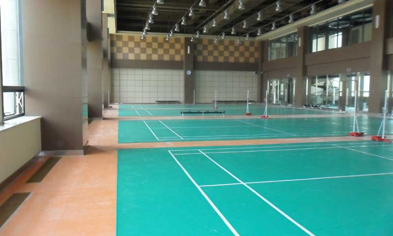 羽毛球塑胶免费P站视频有哪些特点?