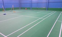 福建省莆田市安仁明珠国际大酒店羽毛球免费P站视频