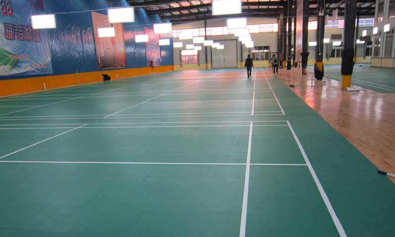 羽毛球馆免费P站视频结构以及特点介绍