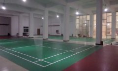 河北省霸州市羽毛球馆pvc运动免费P站视频