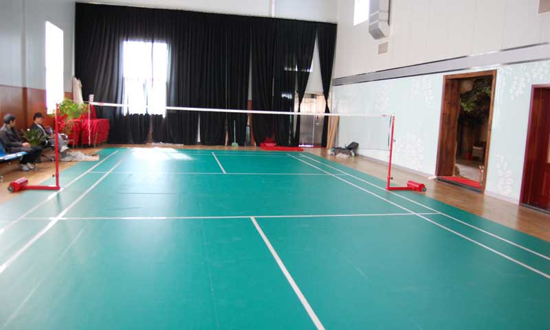 羽毛球塑胶免费P站视频有哪些特点?