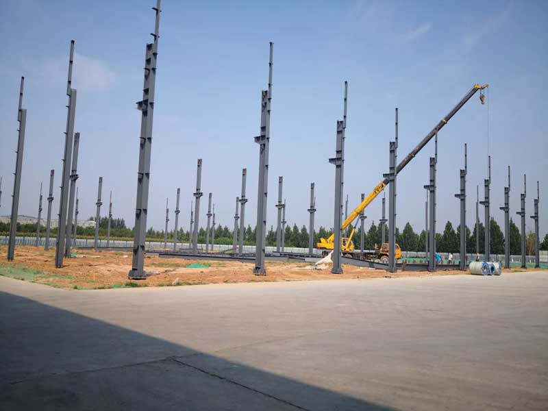 河北龙胶科技有限公司二期开建 河北龙胶科技有限公司大事记